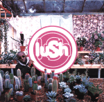 Cover scan: Lush.Lovelife.CAD6004CD.jpg