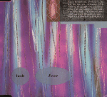 Cover scan: Lush.Scar.cdsingle.jpg