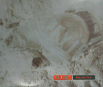 Cover scan: Pixies.DigForFire.cdsingle.jpg