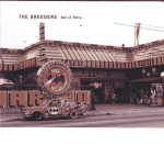 Cover scan: TheBreeders.SonOfThree.cd.jpg