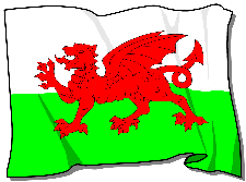 Wales Flag (believed accurate)