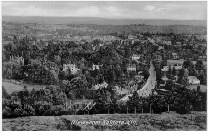 Reigate Postcard