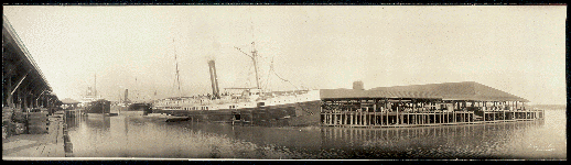 Savannah Docks